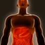 Cólica intestinal: o que é? Quais os sintomas?